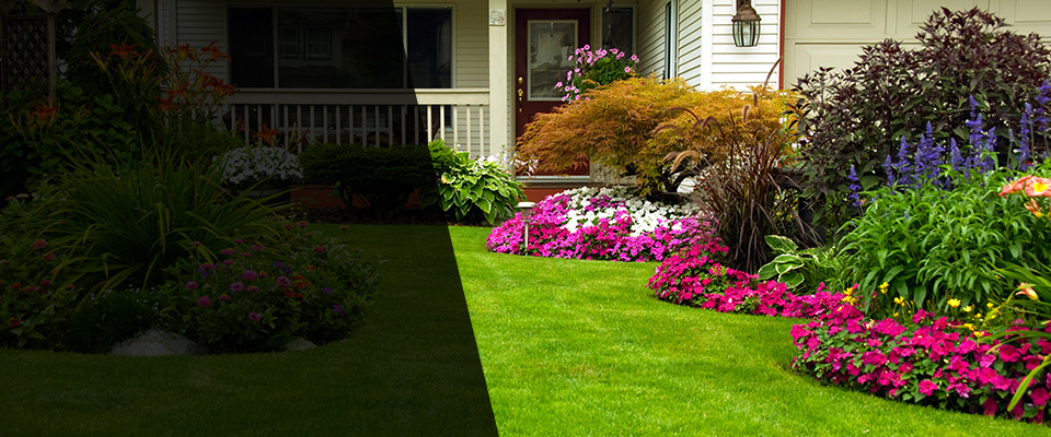 Iowa City Landscapers
