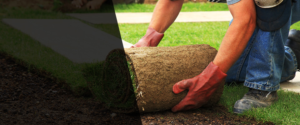 Iowa City Landscapers